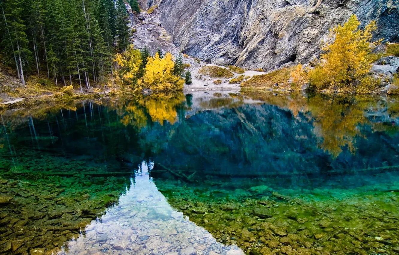Photo wallpaper forest, trees, nature, lake, reflection, stones, photo, mountain