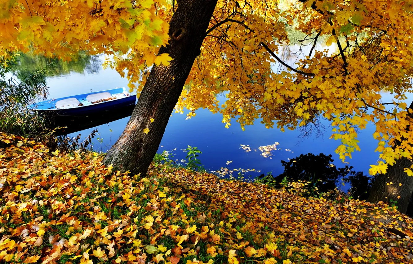 Photo wallpaper river, blue, autumn, boat