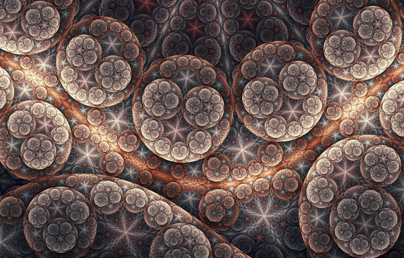 Photo wallpaper circles, pattern, brown, tatasz