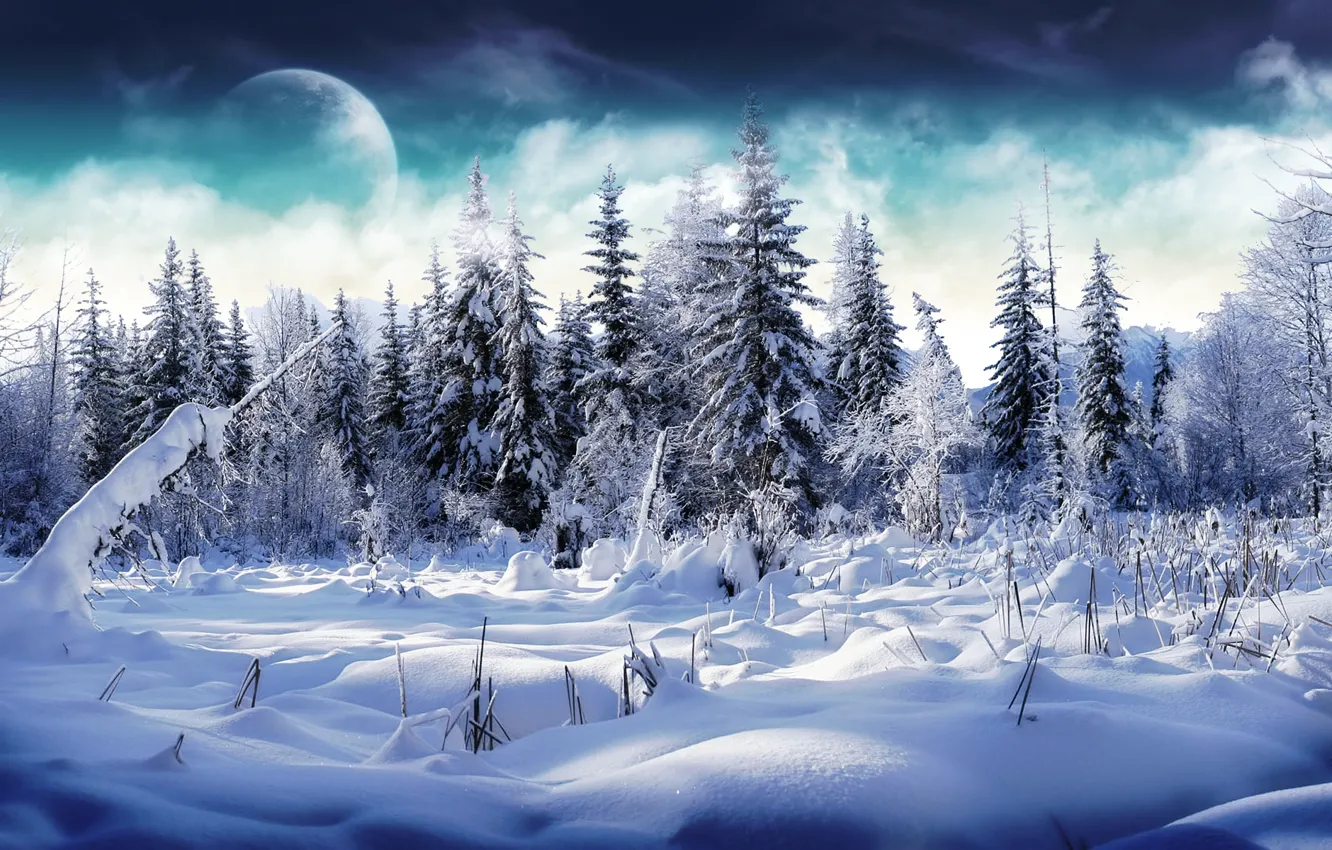 Photo wallpaper winter, forest, clouds, snow, the moon