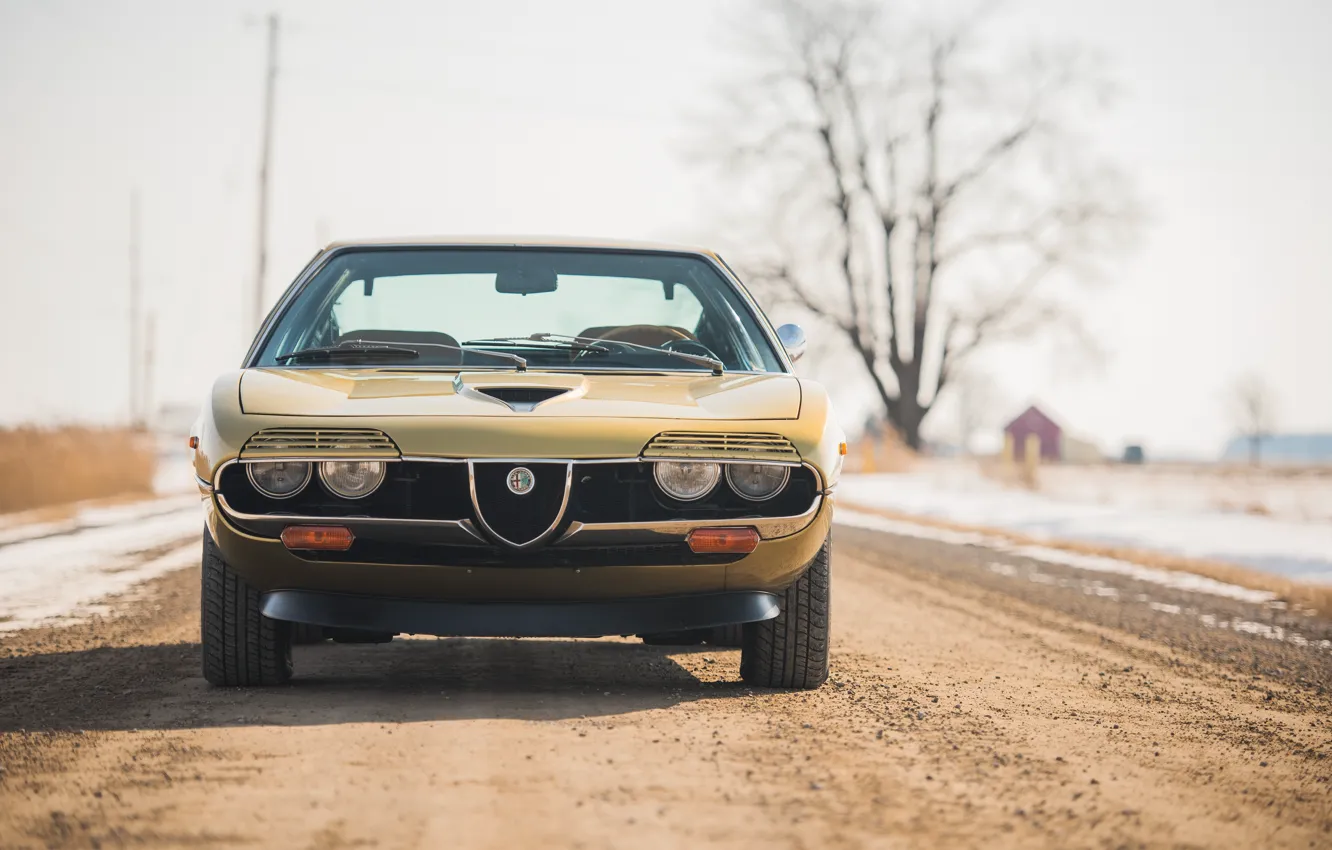 Photo wallpaper Alfa Romeo, front, 1972, Montreal, Alfa Romeo Montreal