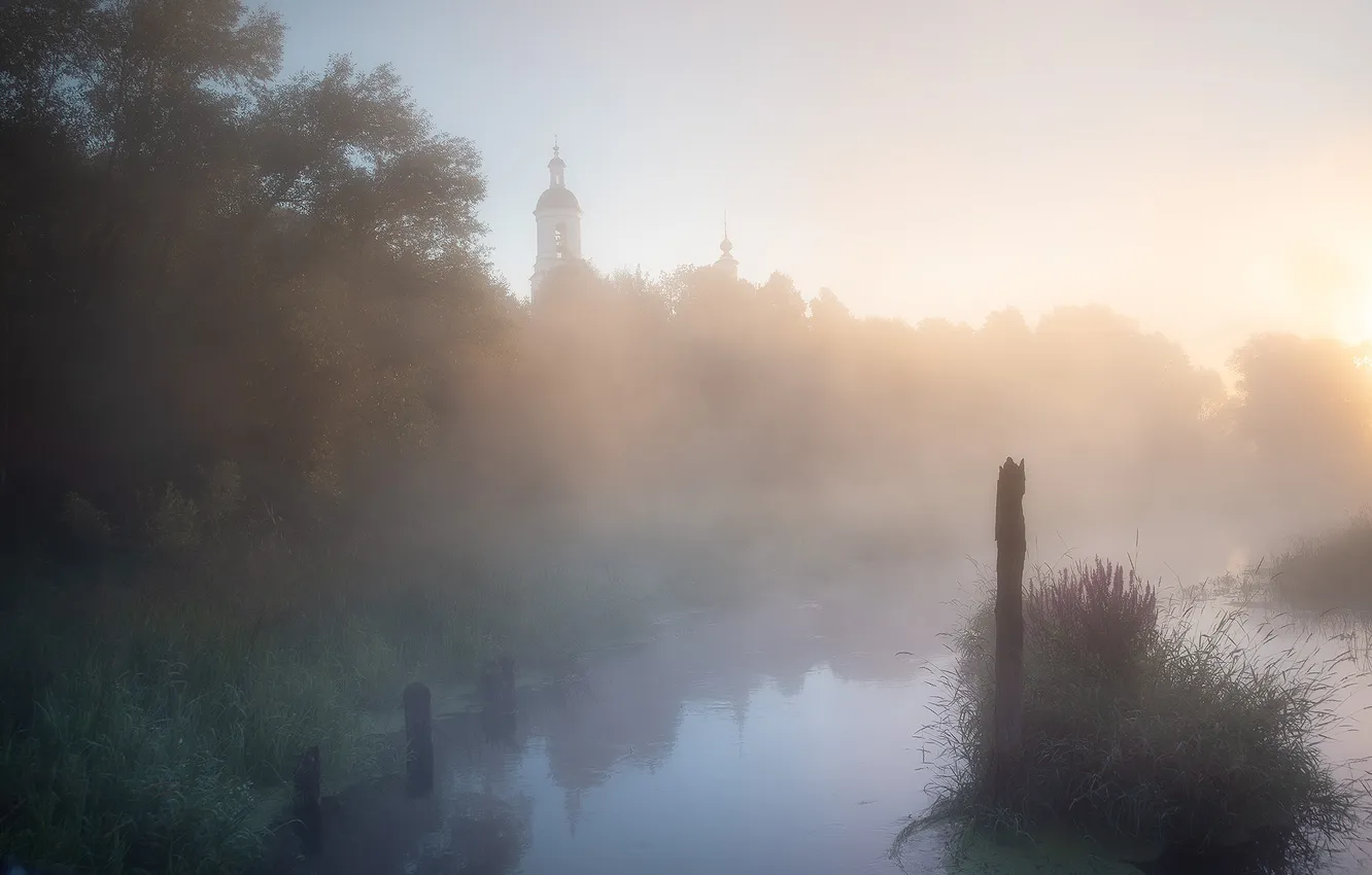 Photo wallpaper fog, summer dawn, Anastasia Petrova