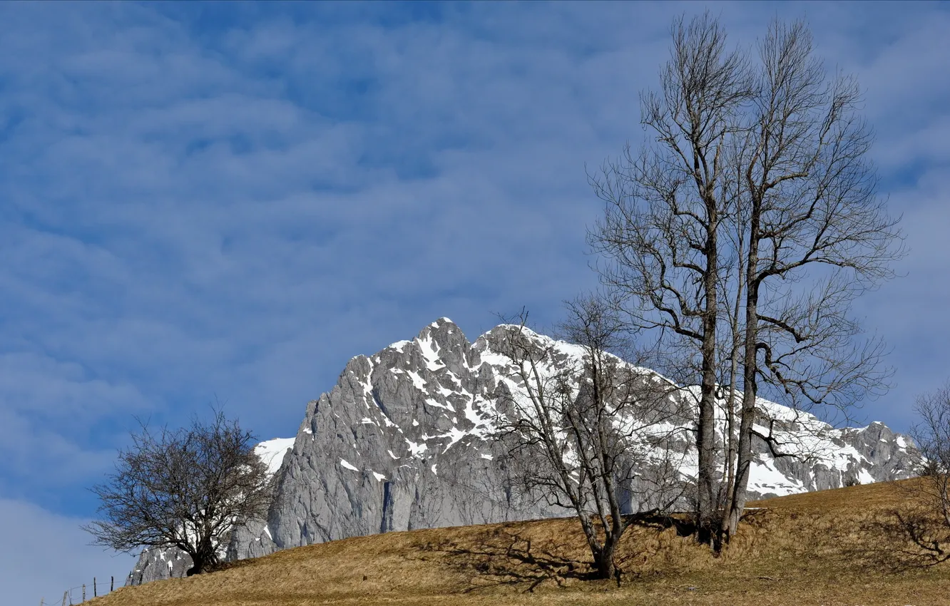Photo wallpaper the sky, trees, mountains, nature