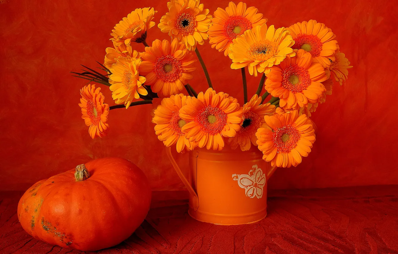 Photo wallpaper flowers, bouquet, pumpkin, still life, gerbera