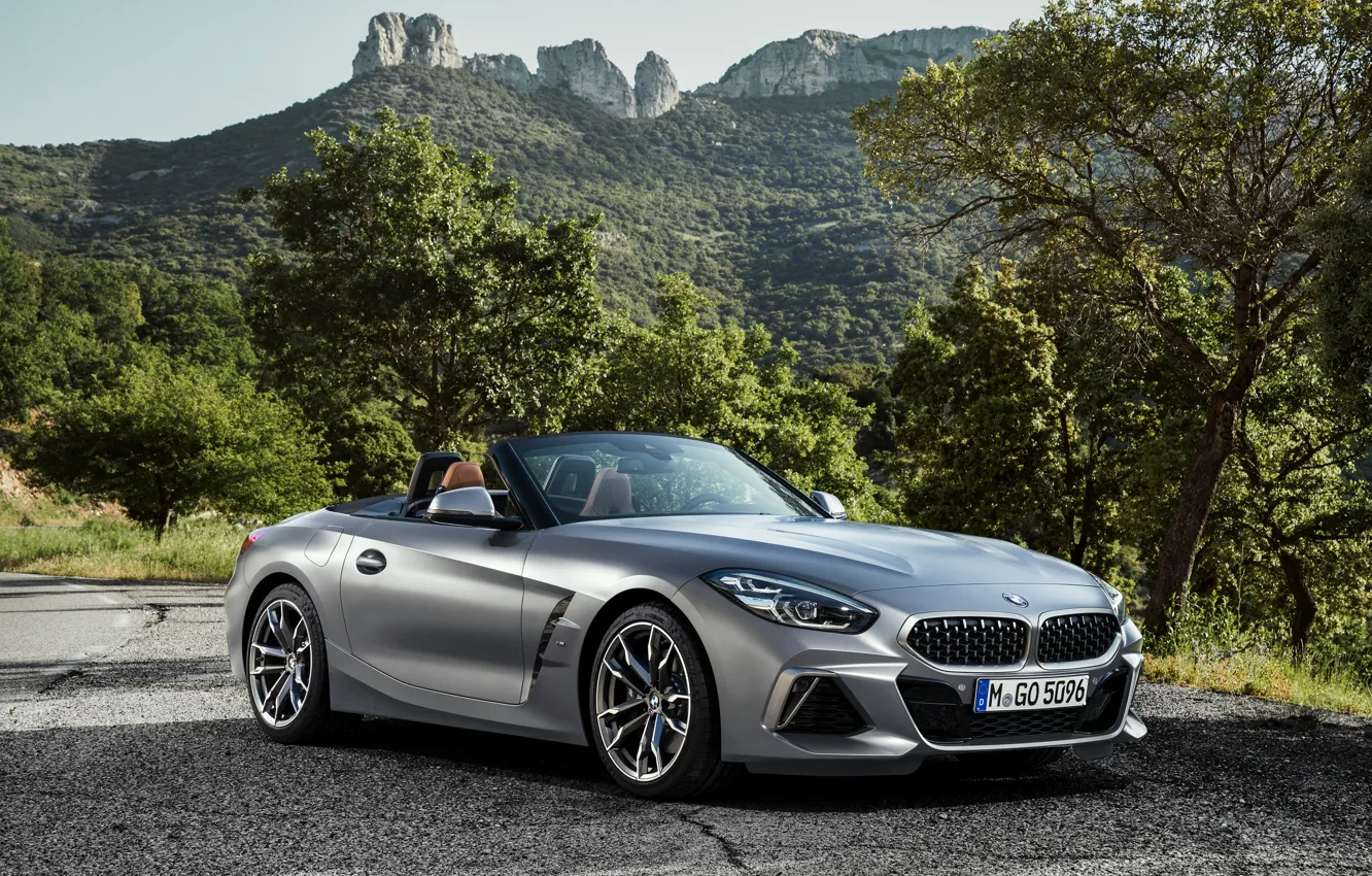 Photo wallpaper trees, mountains, grey, vegetation, BMW, Parking, Roadster, roadside