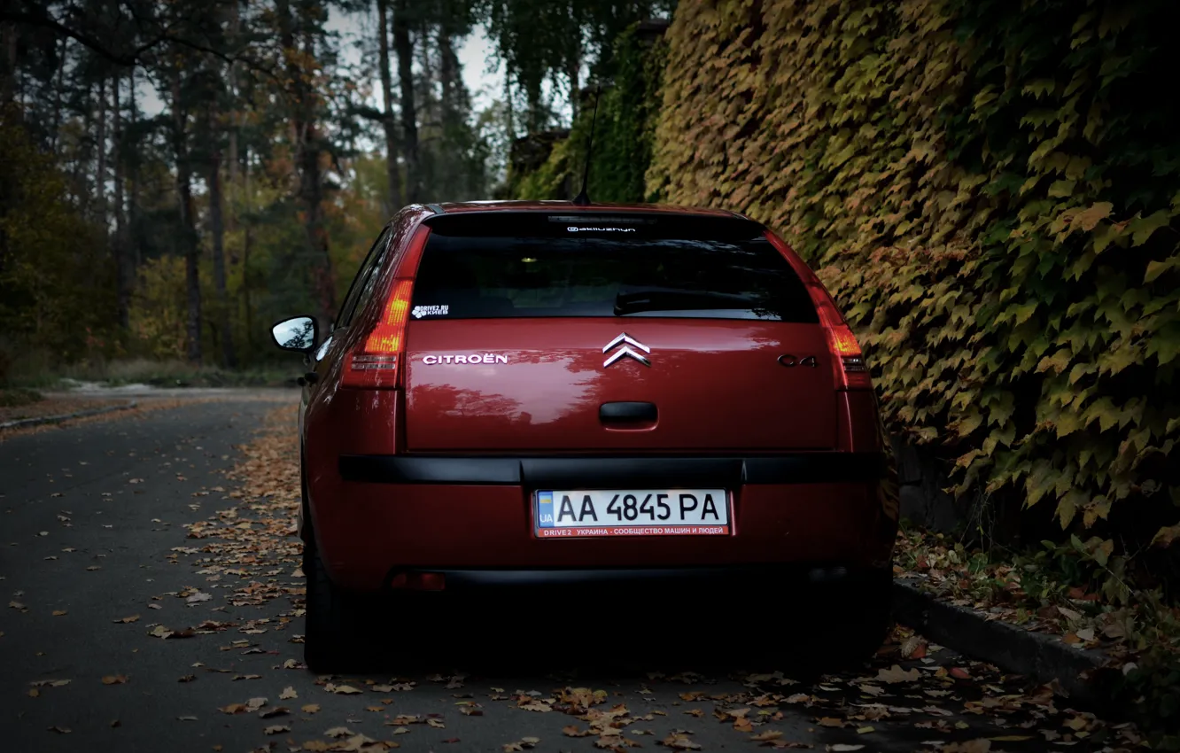 Photo wallpaper machine, autumn, leaves, Citroen, Citroen, Car, car, France