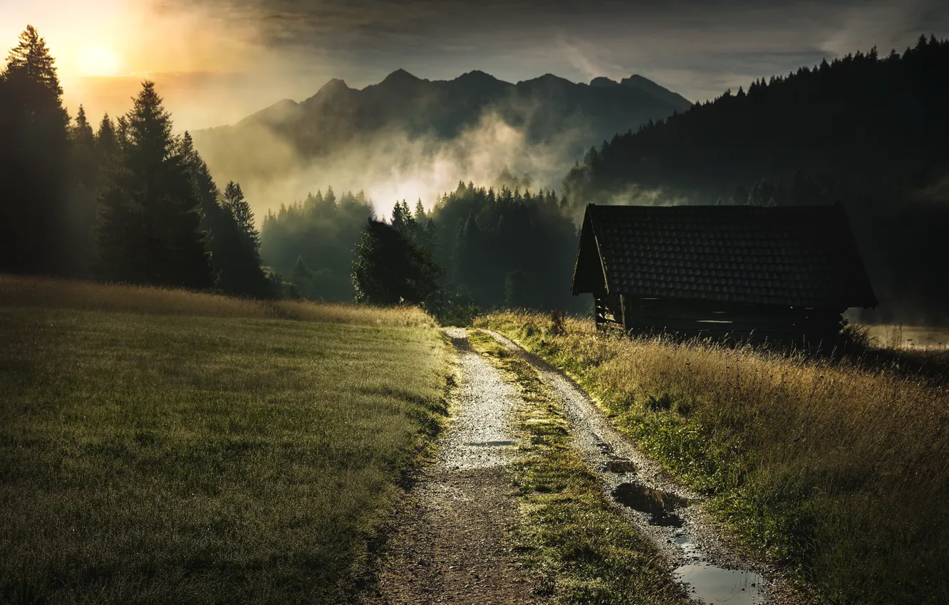 Photo wallpaper road, fog, morning