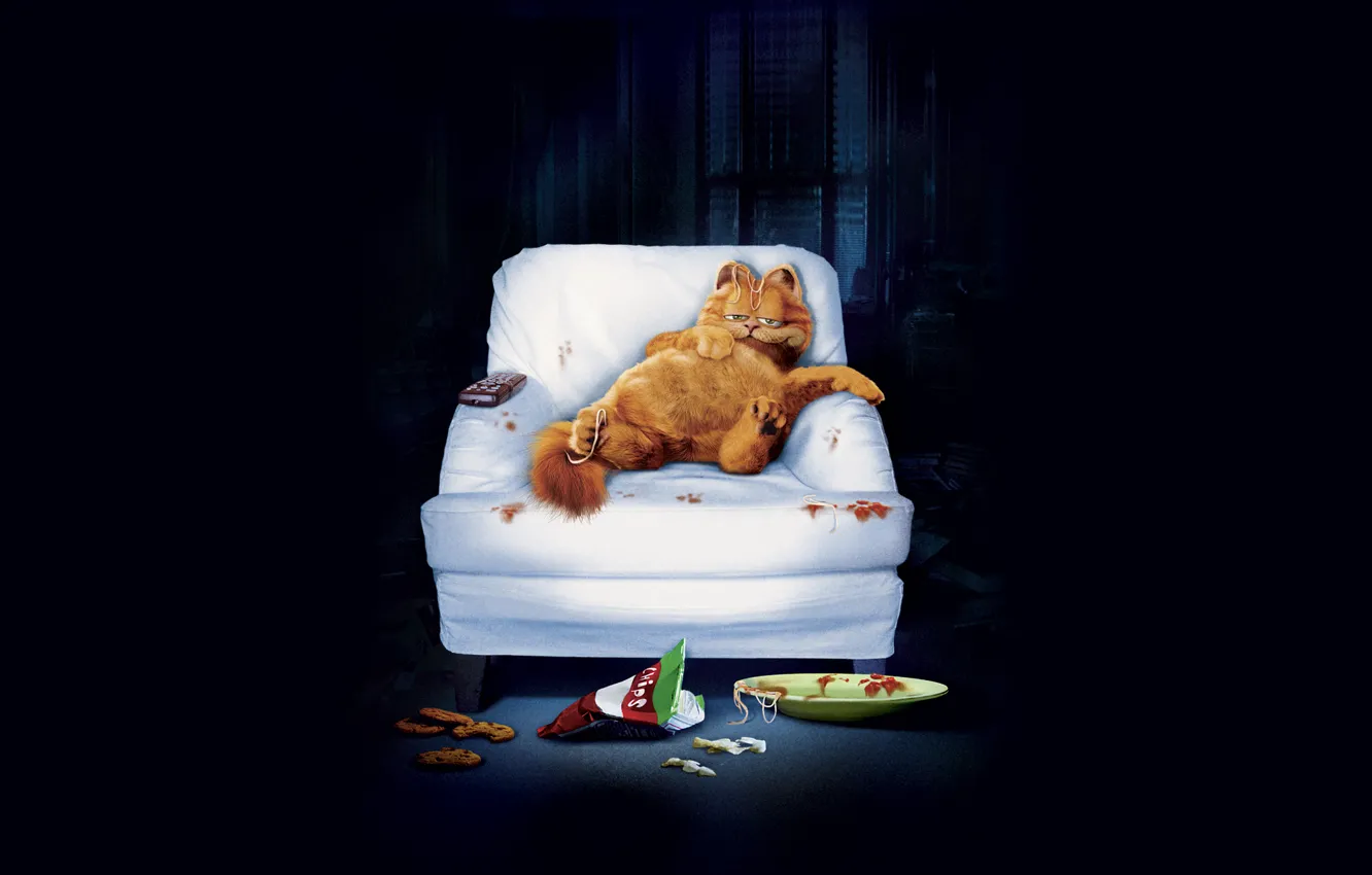 Photo wallpaper cat, face, smile, darkness, sofa, chair, cookies, window