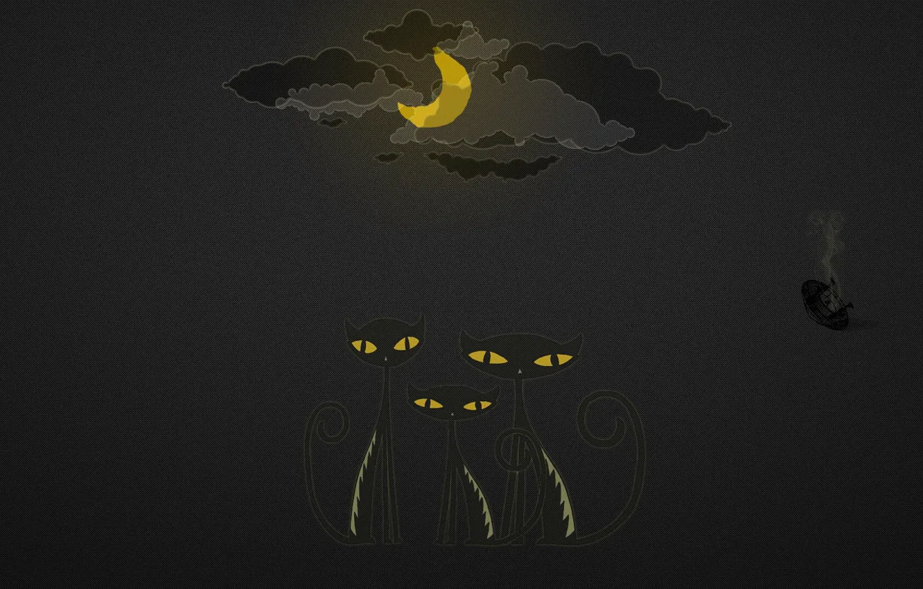 Photo wallpaper clouds, night, the moon, UFO, Cats