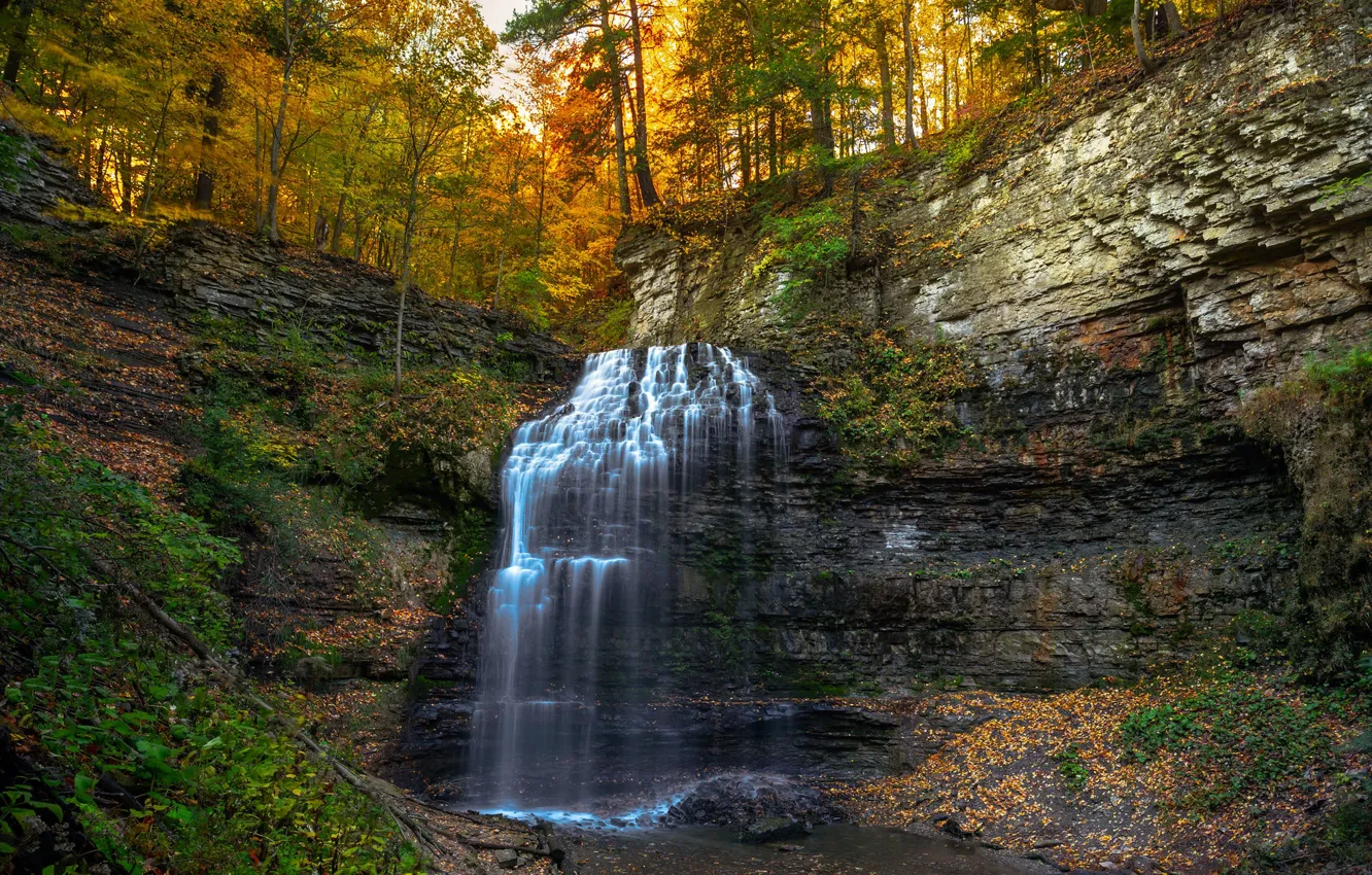 Photo wallpaper autumn, forest, rock, waterfall, Canada, Ontario, Canada, cascade