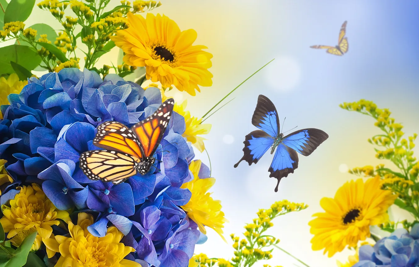 Photo wallpaper butterfly, flowers, petals, buds, flowering, chrysanthemum, hydrangea, gerbera