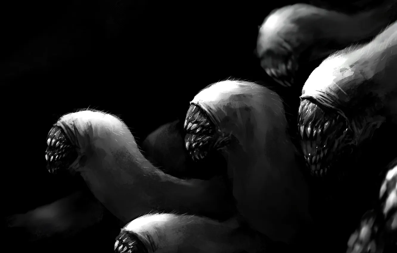 Photo wallpaper art, worms, hunter