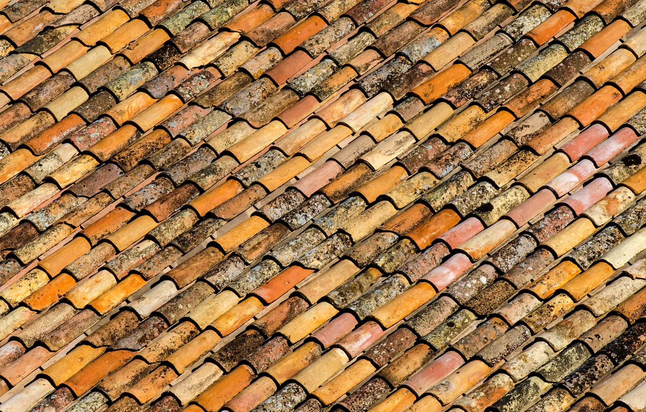 Photo wallpaper roof, paint, tile, roof