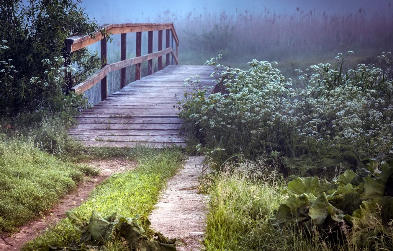 Photo wallpaper summer, bridge, nature