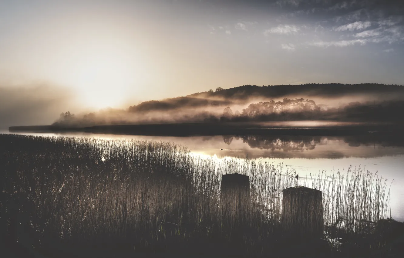 Photo wallpaper night, fog, river