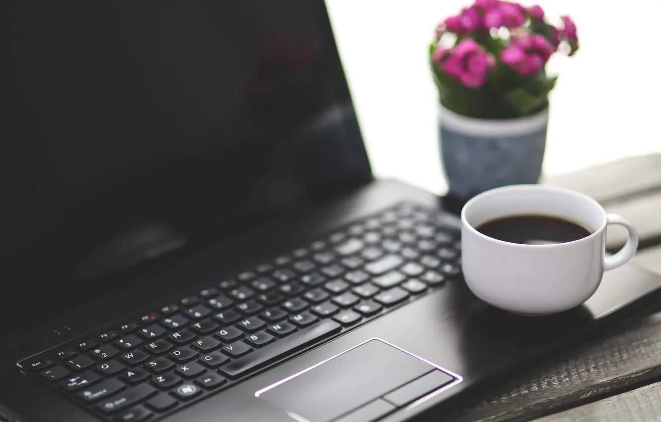 Photo wallpaper flower, coffee, laptop