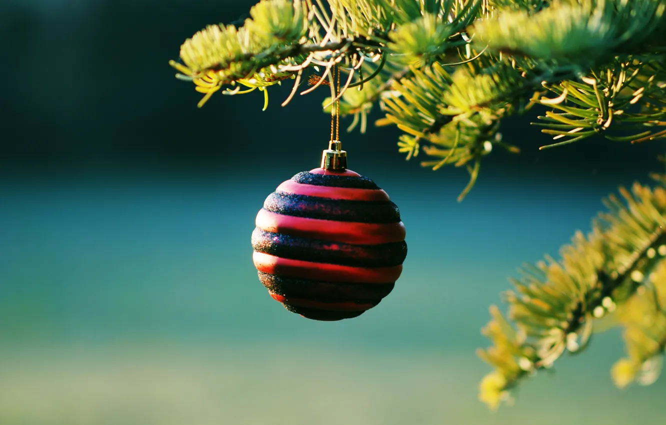 Photo wallpaper decoration, branches, toy, new year, branches Christmas balls