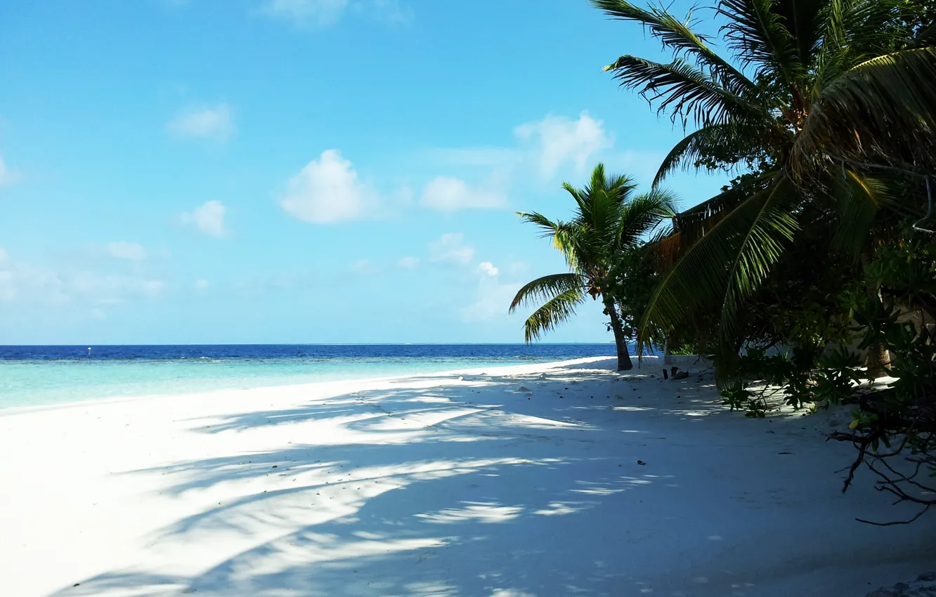 Photo wallpaper tropics, beauty, vacation, The Maldives, Ministers Ministers