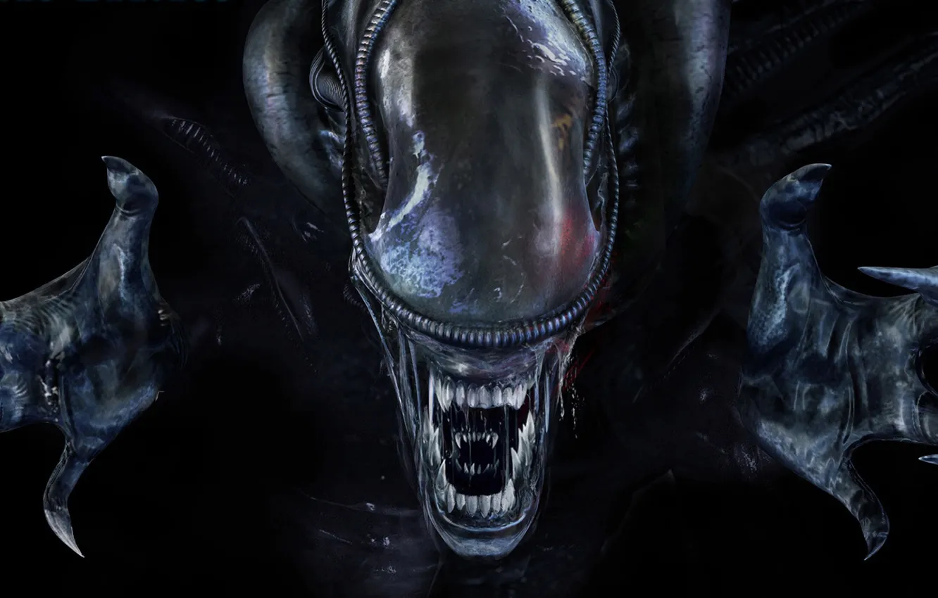 Photo wallpaper hands, head, Aliens Colonial Marines, claws, teeth