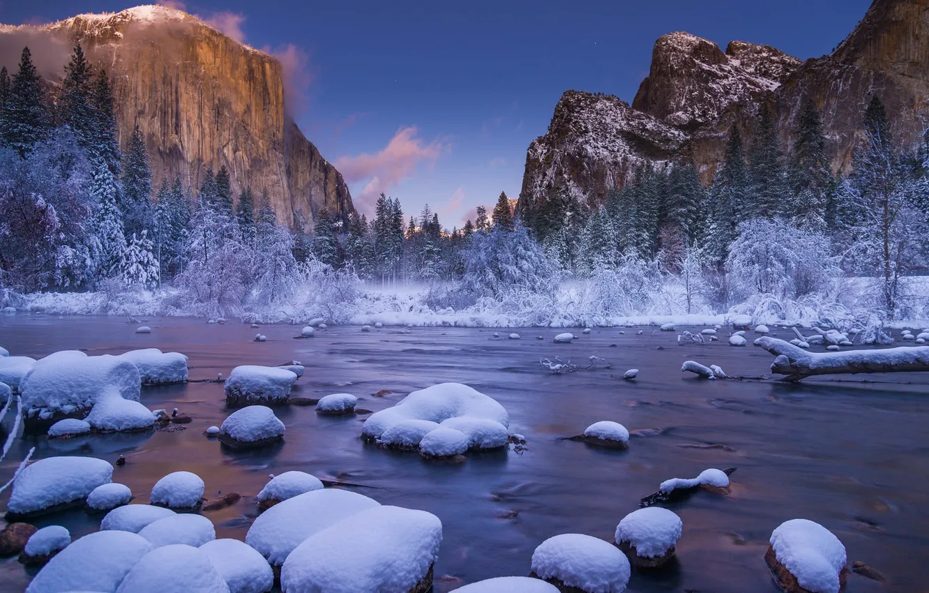 Photo wallpaper winter, snow, trees, mountains