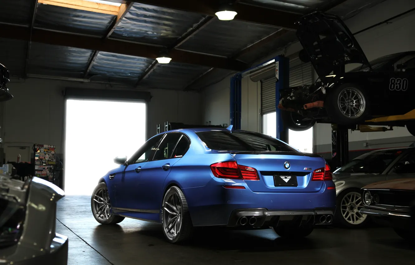 Photo wallpaper Blue, Bmw, F10, Rear View, M5