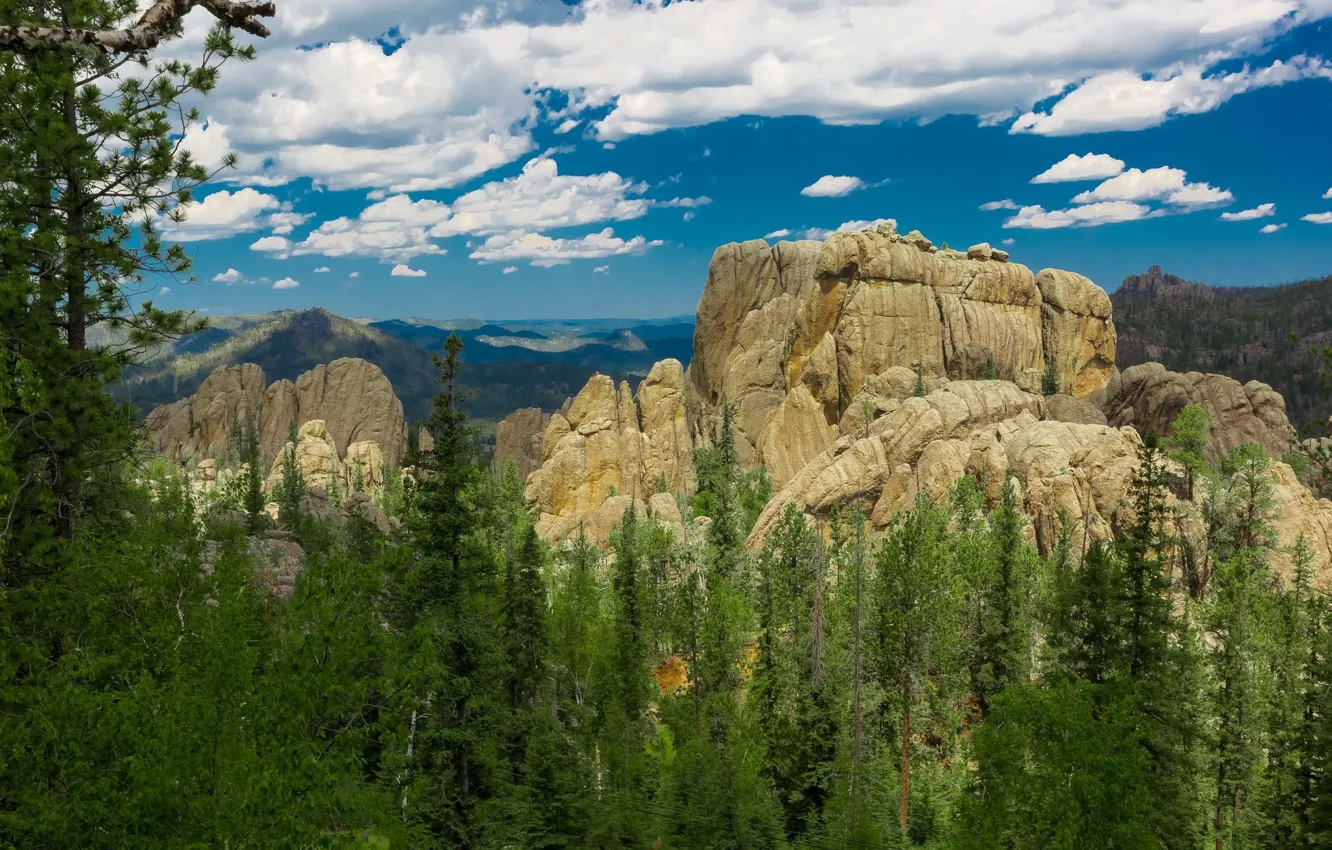 Photo wallpaper forest, the sky, mountains, nature