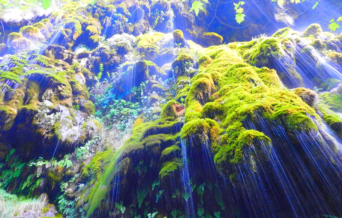 Photo wallpaper rock, Lebanon, Maple leaves, Water falls, Green moss, Saints Valley