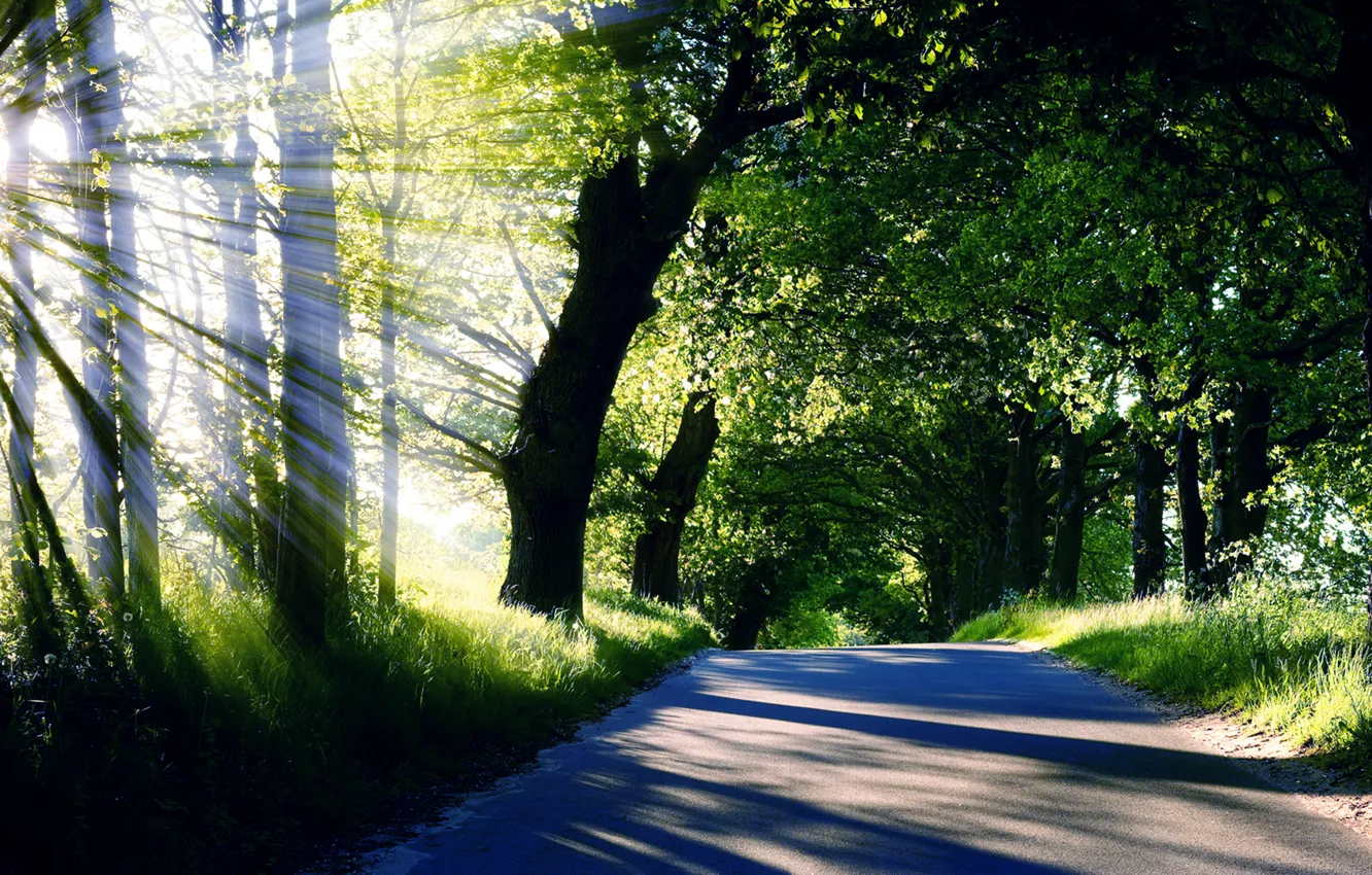 Photo wallpaper road, summer, grass, the sun, rays, light, trees, nature