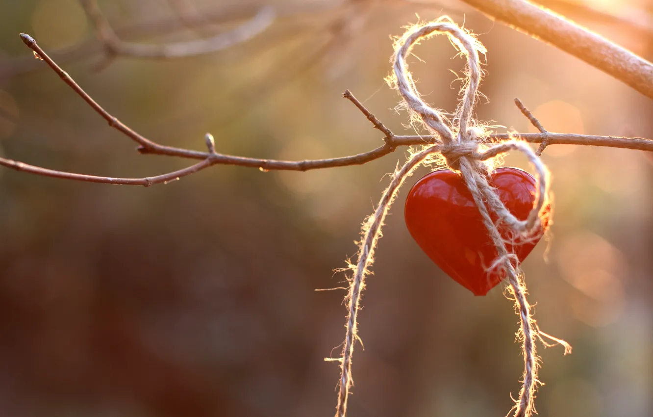 Photo wallpaper red, heart, branch, rope