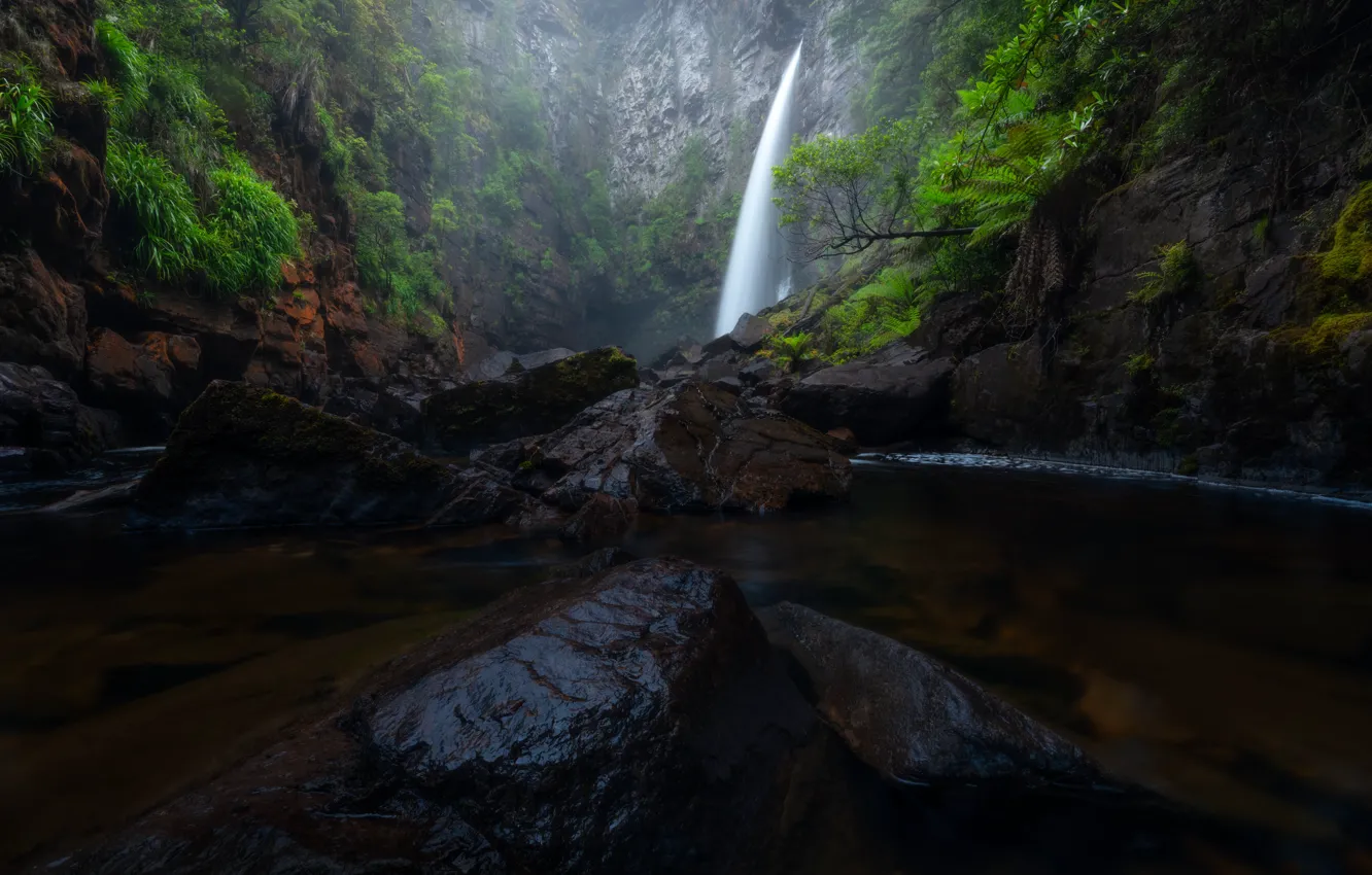 Photo wallpaper forest, stones, waterfall