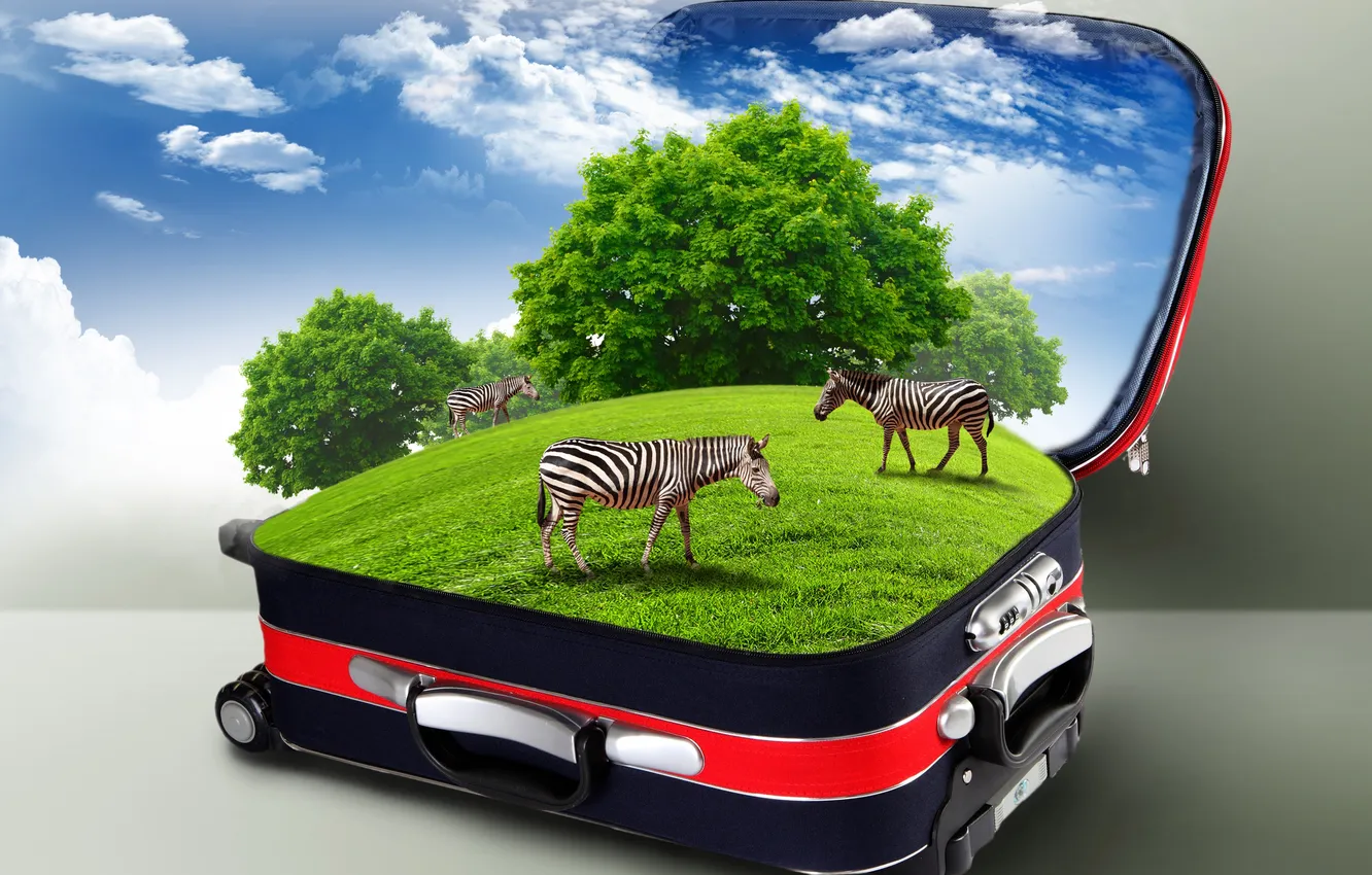Photo wallpaper grass, clouds, creative, Zebra, suitcase, the bushes
