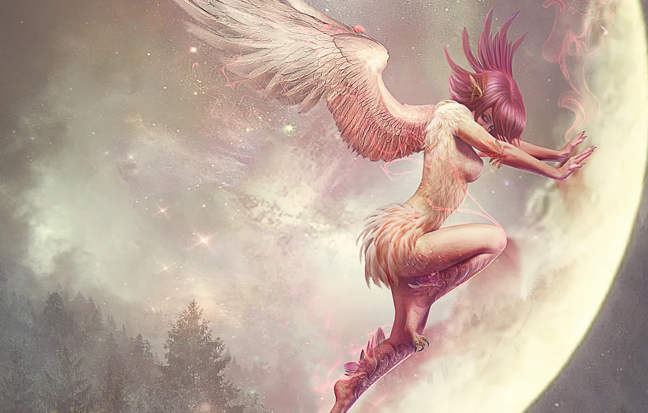 Photo wallpaper stars, flight, magic, Girl, wings, feathers, claws, photo manipulation
