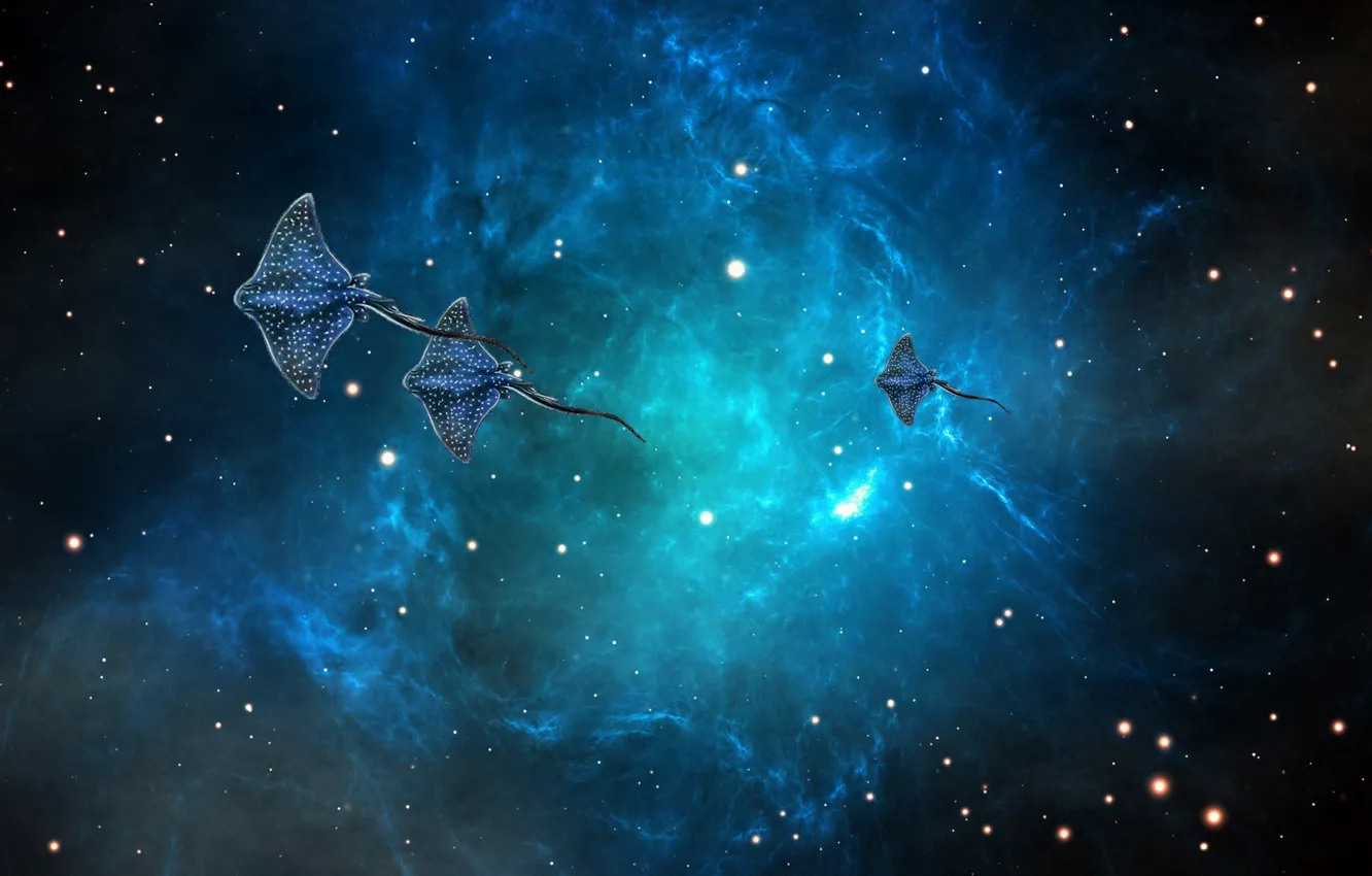 Photo wallpaper space, the ocean, galaxy, space, SKAT, ocean