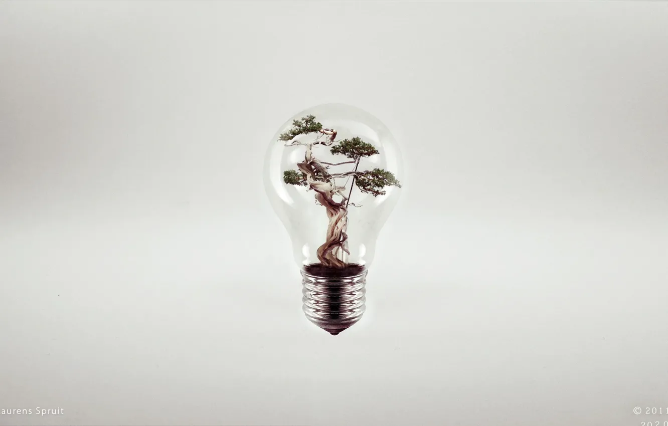 Photo wallpaper creative, tree, lamp