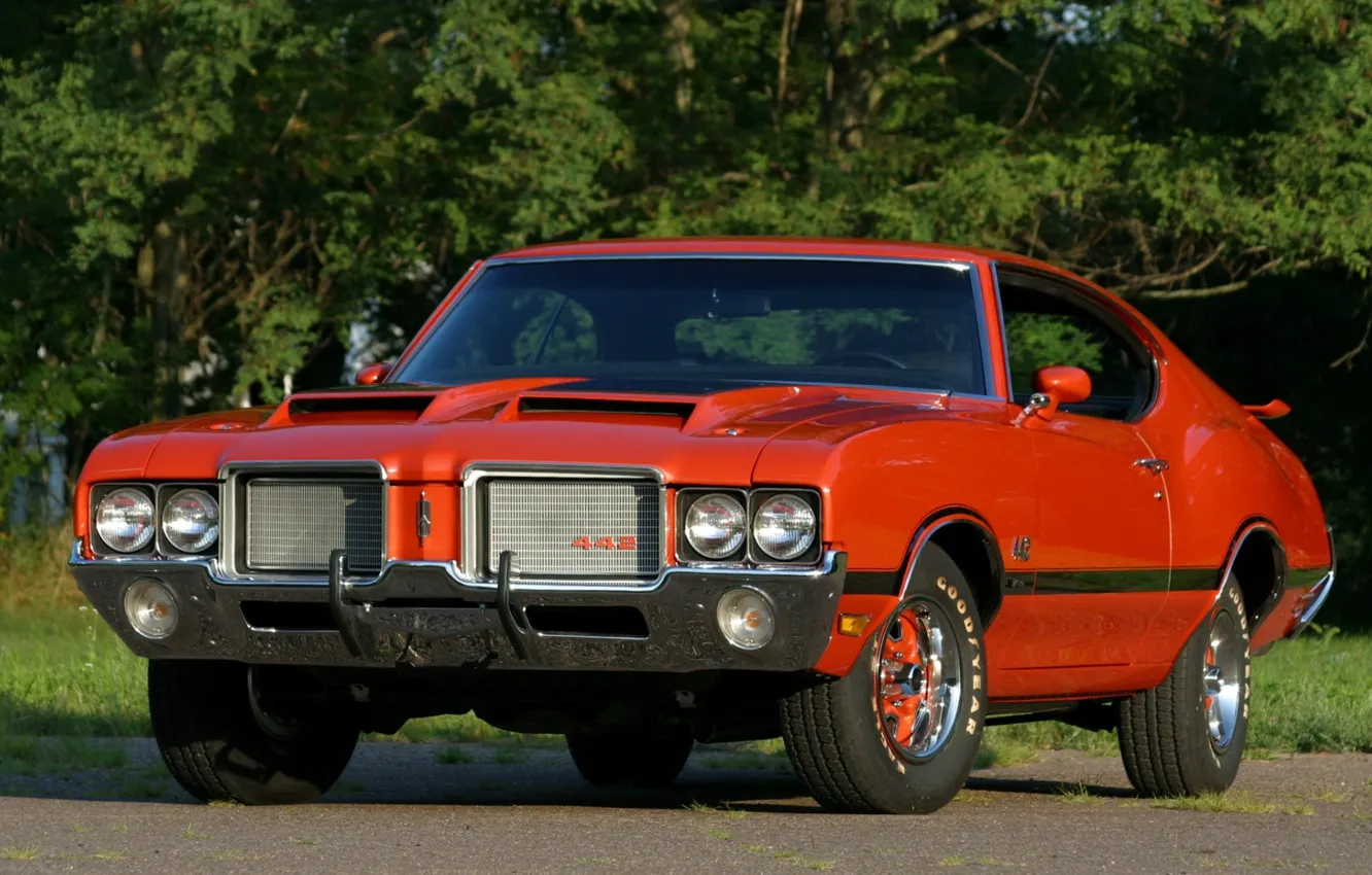 Photo wallpaper trees, orange, background, coupe, Coupe, the front, Muscle car, 1972