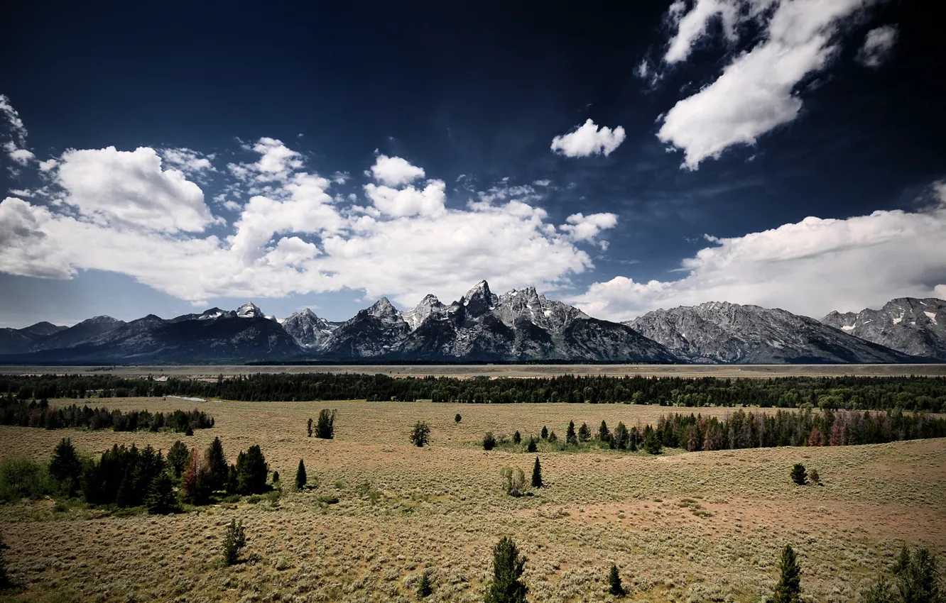 Photo wallpaper greens, grass, mountains, nature