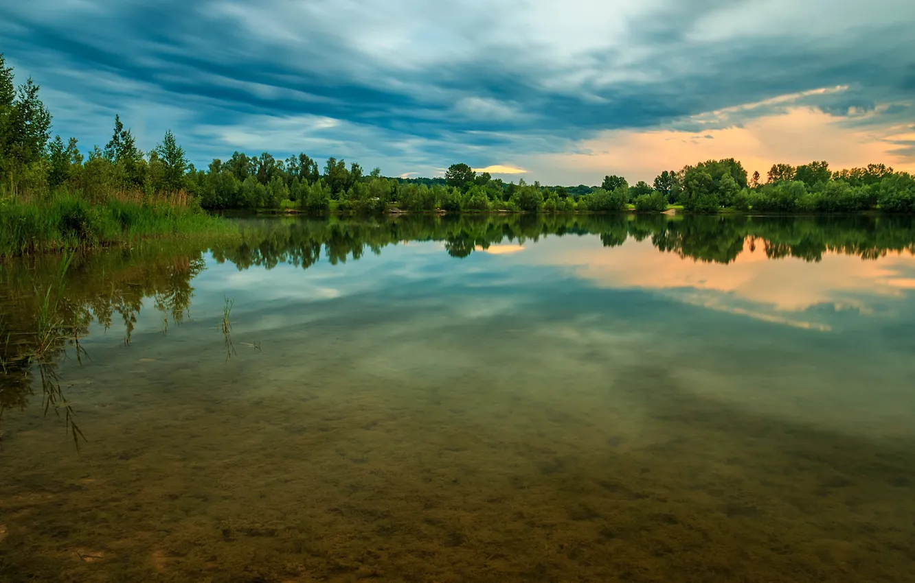 Photo wallpaper water, trees, river, stream