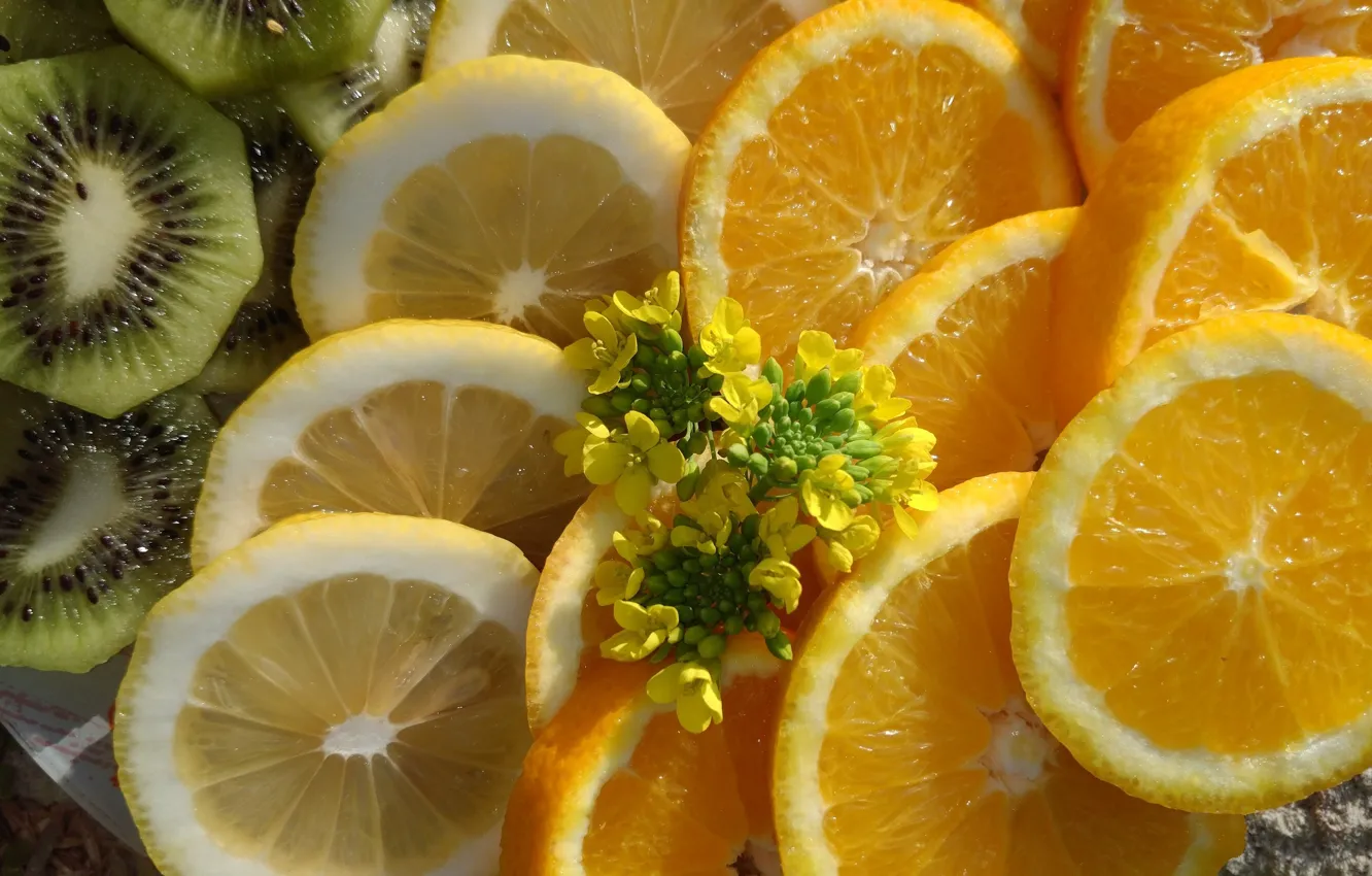 Photo wallpaper macro, April, citrus, slices, spring 2018, Meduzanol ©