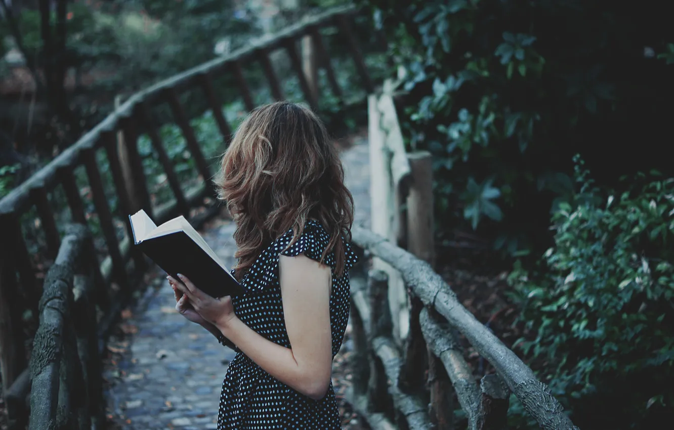 Photo wallpaper girl, bridge, book, brown hair
