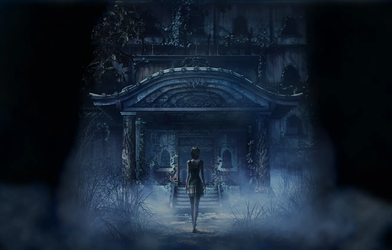 Photo wallpaper fog, background, home, the door, art, twilight, art