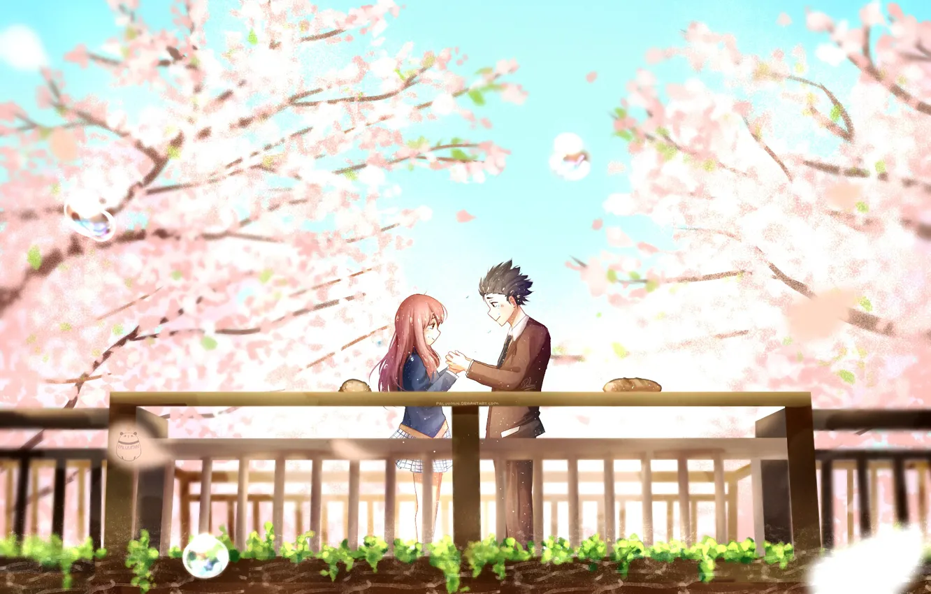 Photo wallpaper trees, Park, romance, spring, Sakura, pair, flowering, You no Katachi