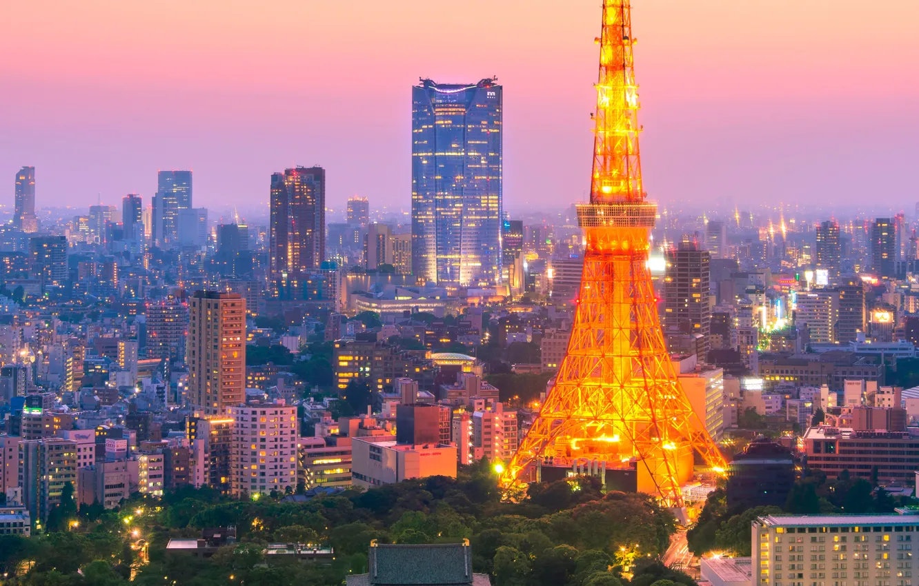 Photo wallpaper the sky, trees, sunset, lights, building, tower, home, skyscrapers