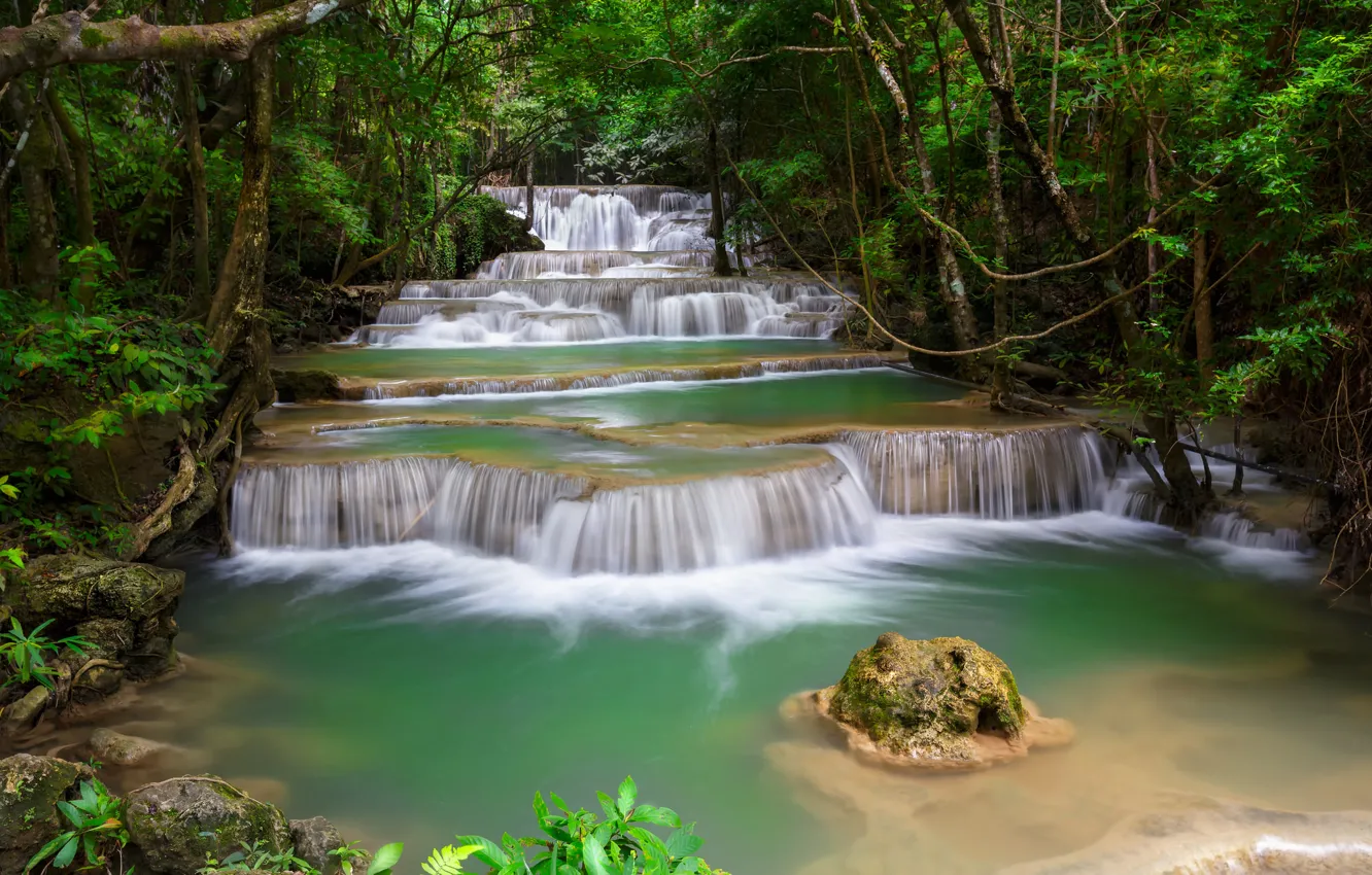 Photo wallpaper forest, trees, river, thickets, stone, waterfall, stream, cascade