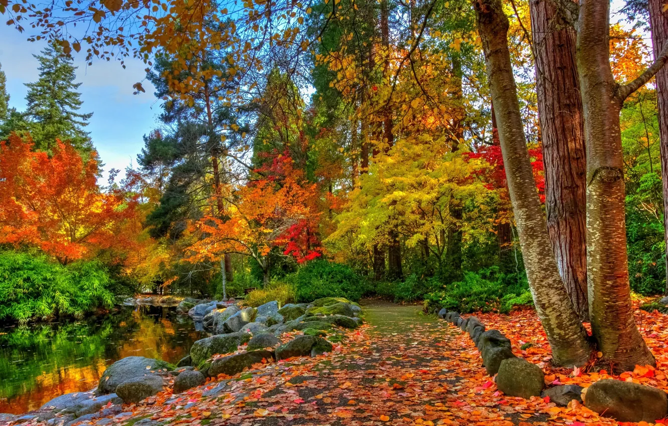 Photo wallpaper autumn, trees, pond, Park