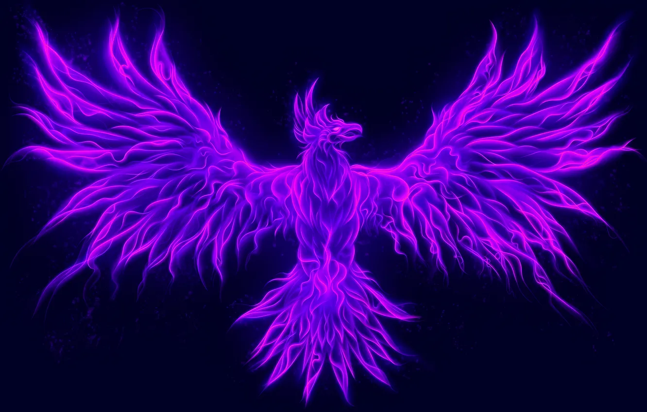 Photo wallpaper blue, pink, feathers, Neon, blue background, fantasy art, Phoenix, Illustration