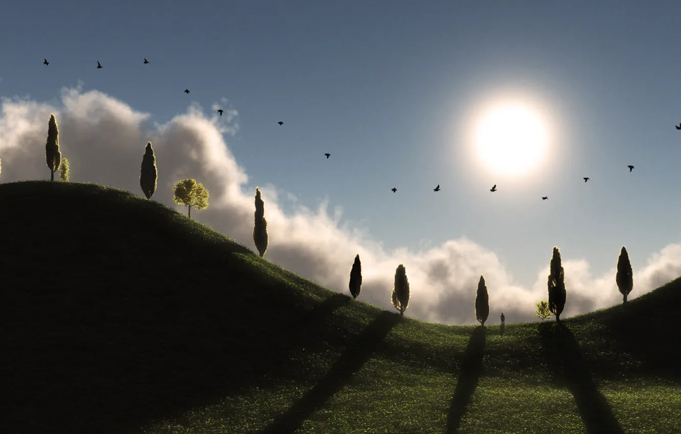 Photo wallpaper grass, the sun, trees, birds, hills