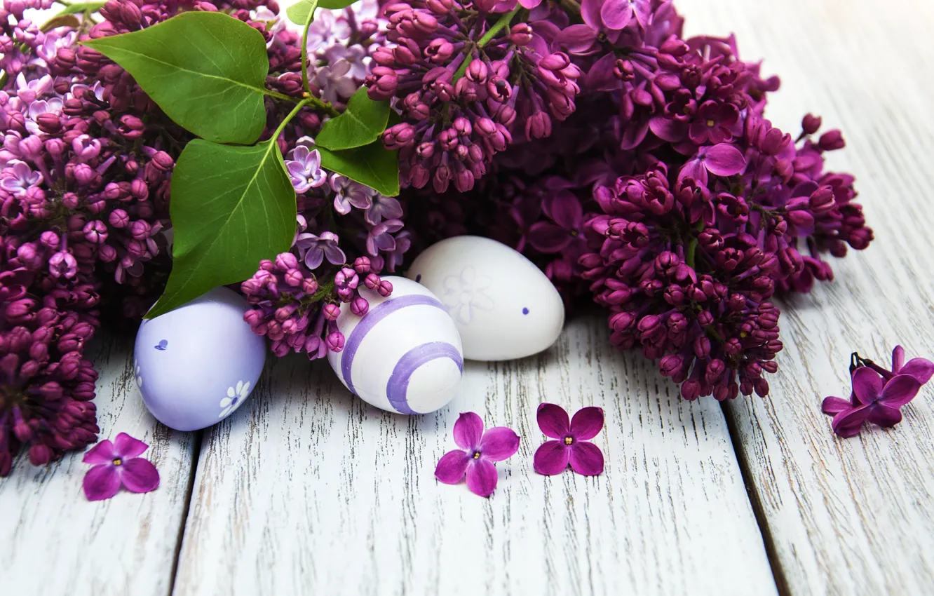 Photo wallpaper flowers, eggs, spring, colorful, Easter, wood, blossom, flowers