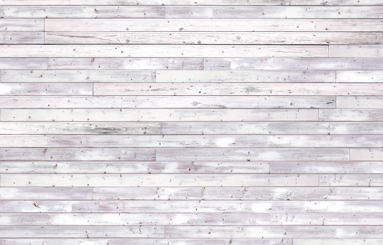 Photo wallpaper wall, white, wooden floor
