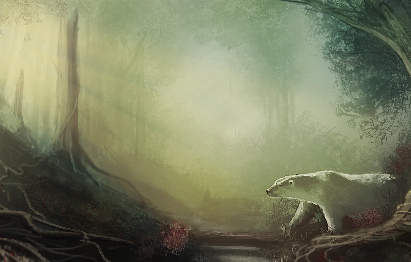 Photo wallpaper forest, bear, art