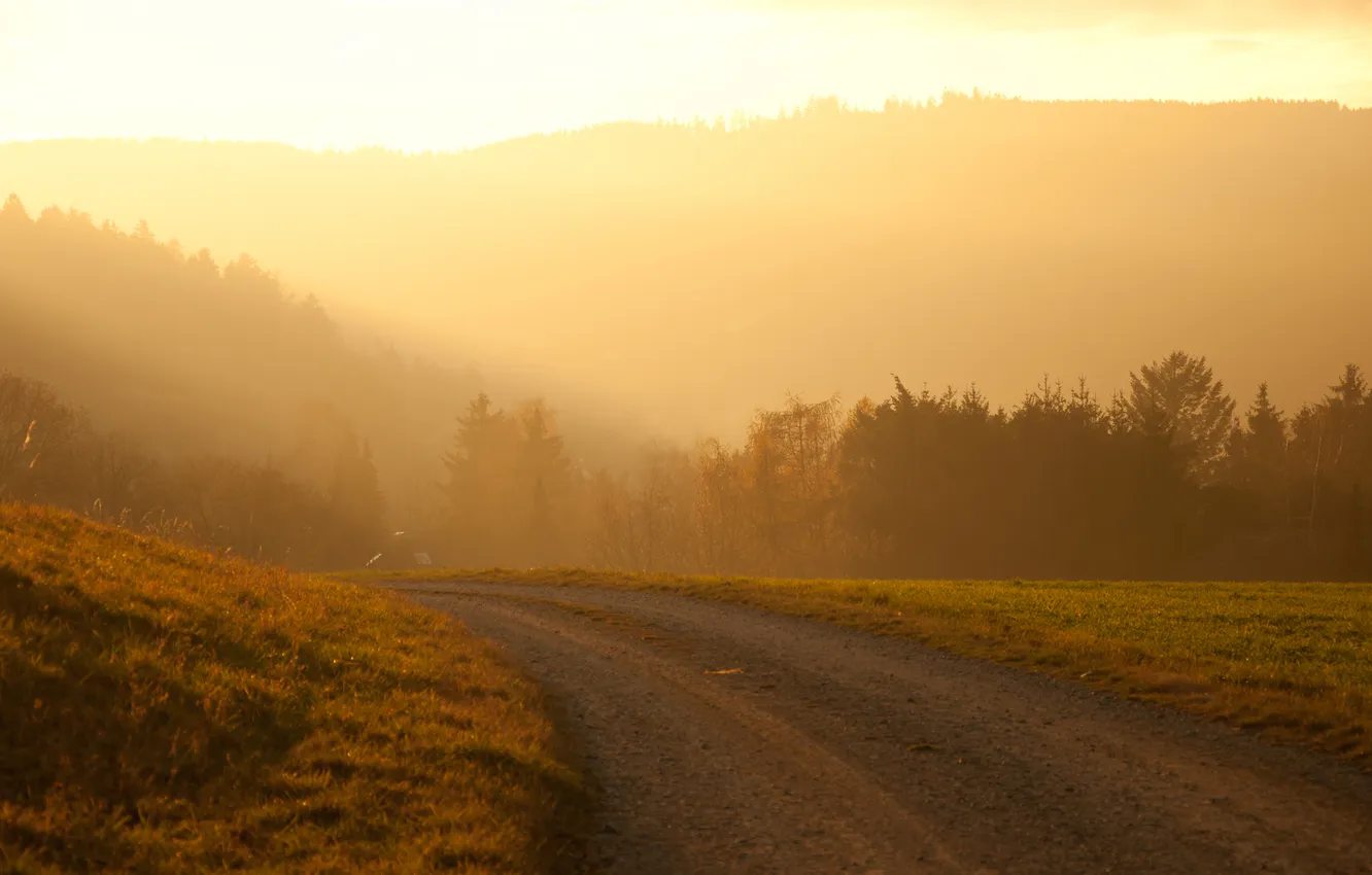 Photo wallpaper road, forest, sunset, hills, turn